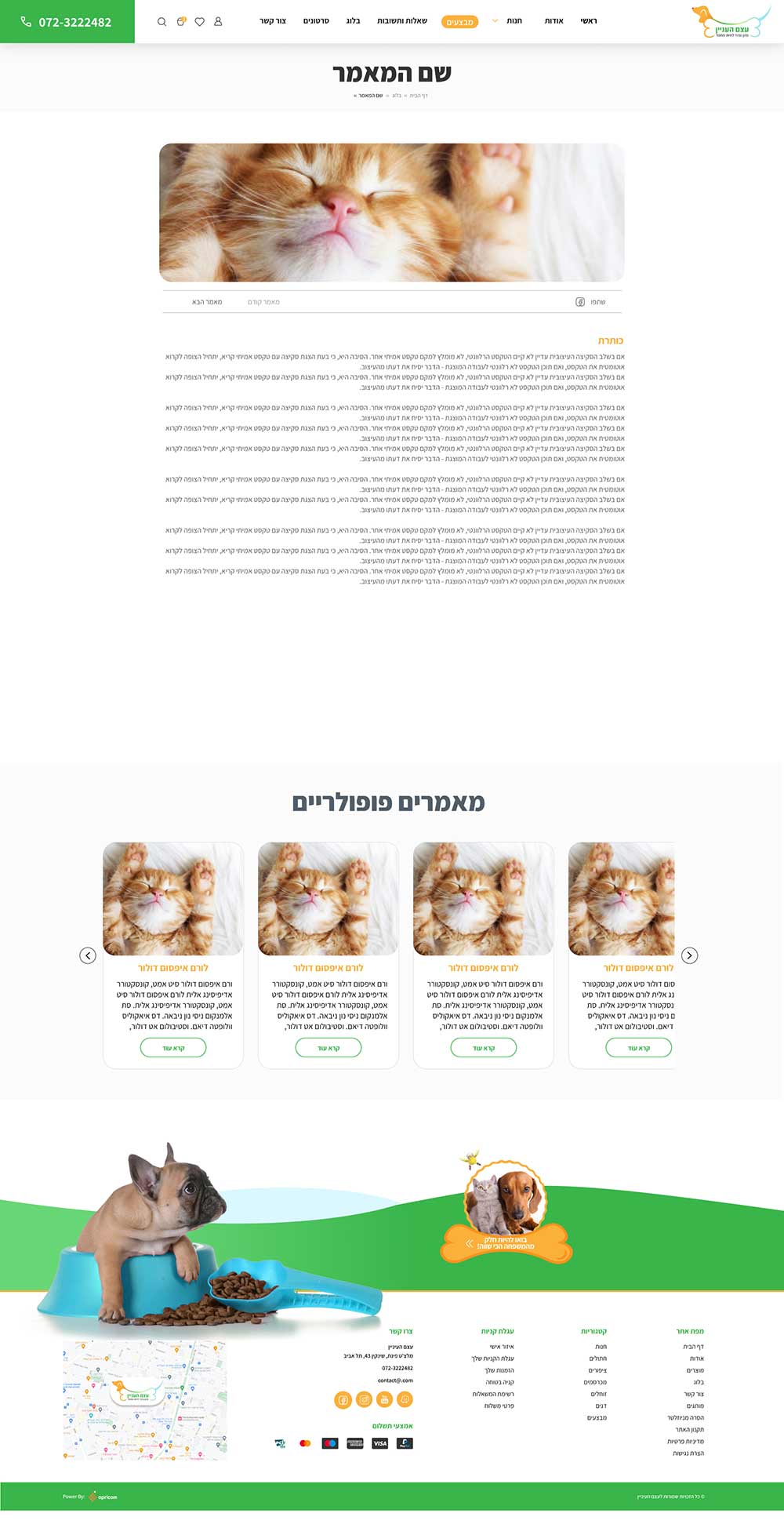דף כתבה