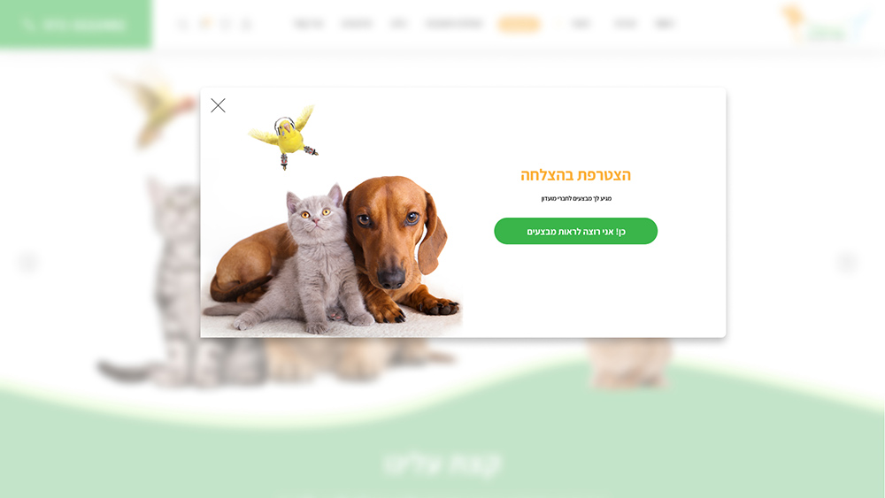 חלון קופץ · 1/2