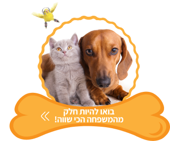 טופס הרשמה