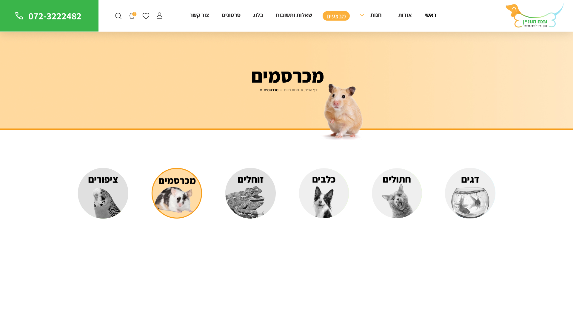 קטגוריה מכרסמים